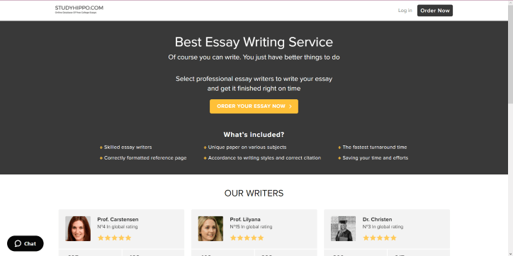 essays.studyhippo.com Review
