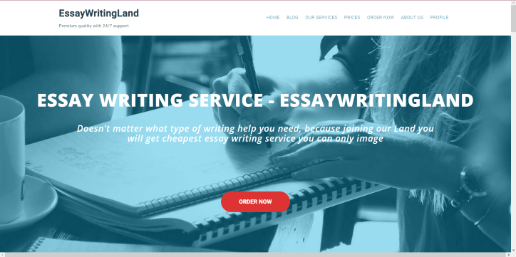 essaywritingland.com Review