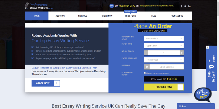 Professional essay writers review